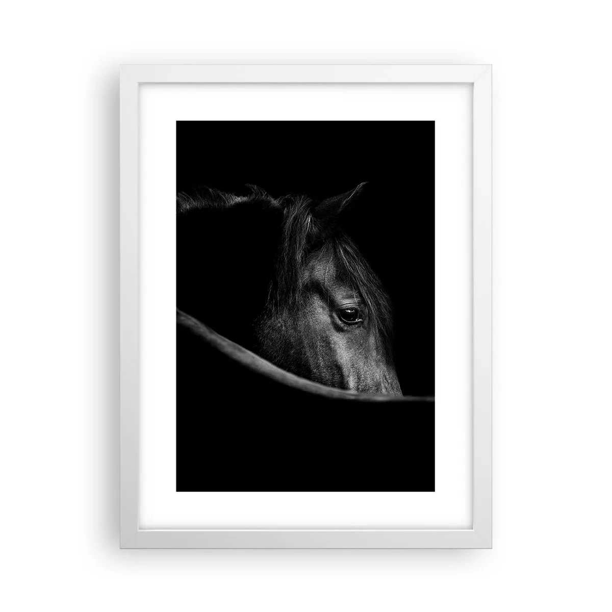 Poster in white frmae - Black Prince - 30x40 cm