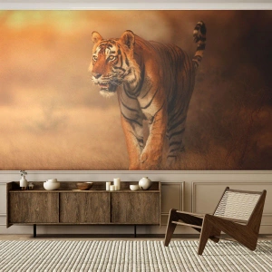 Custom Wallpaper Premium Sand - Before Attack - Animals, Tiger, Africa