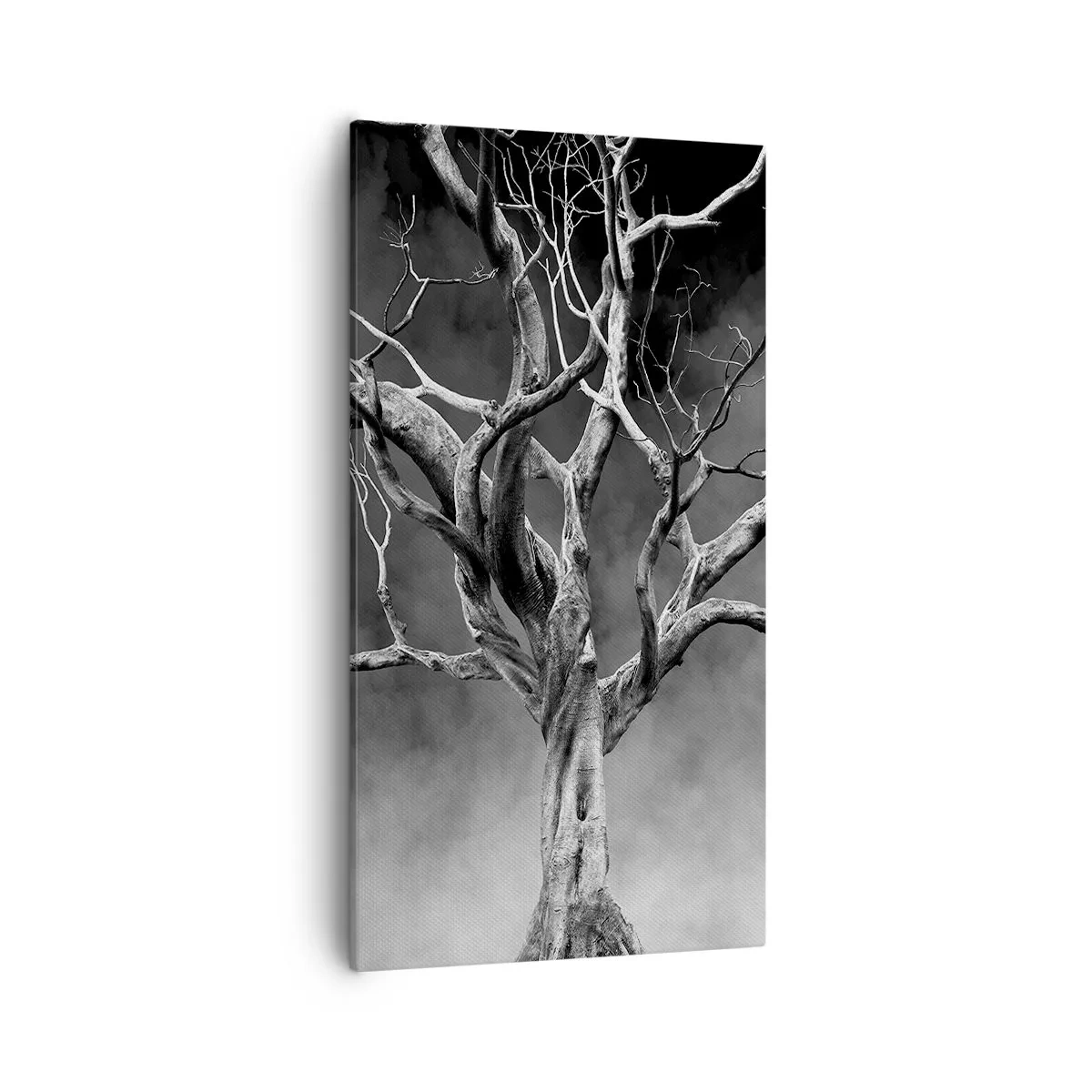 Canvas picture - Primordial and Sacred - 55x100 cm