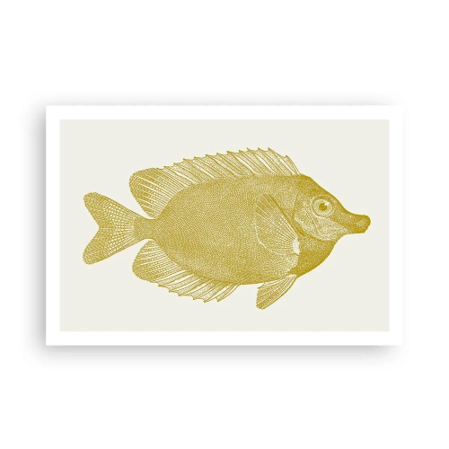Poster - Just a Fish - 91x61 cm