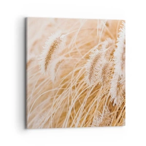 Canvas picture - Golden Rustling of Grass - 70x70 cm