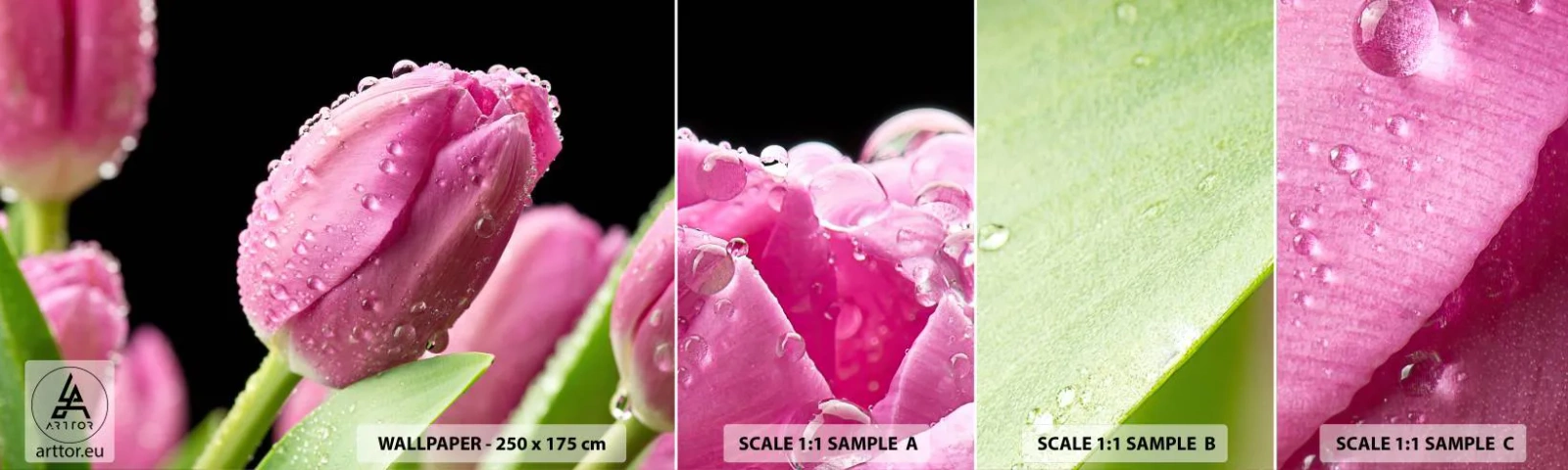 Photo Wallpaper Sample Standard Eco - Lilac Dream in a Dew - Flowers, Tulips, Bouquet of flowers - 100x30 cm