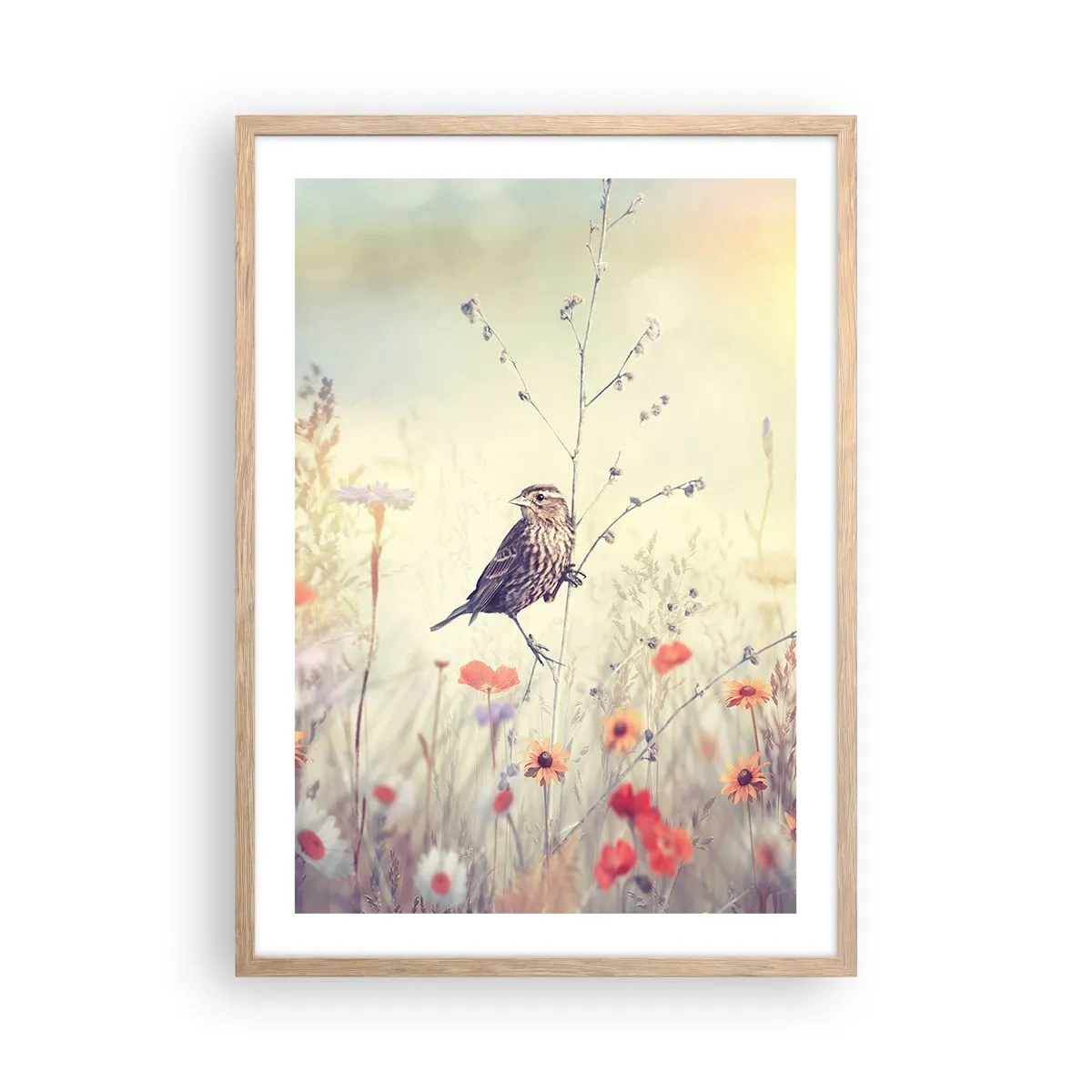 Poster in light oak frame - Bird Portrait with a Meadow in the Background - 50x70 cm