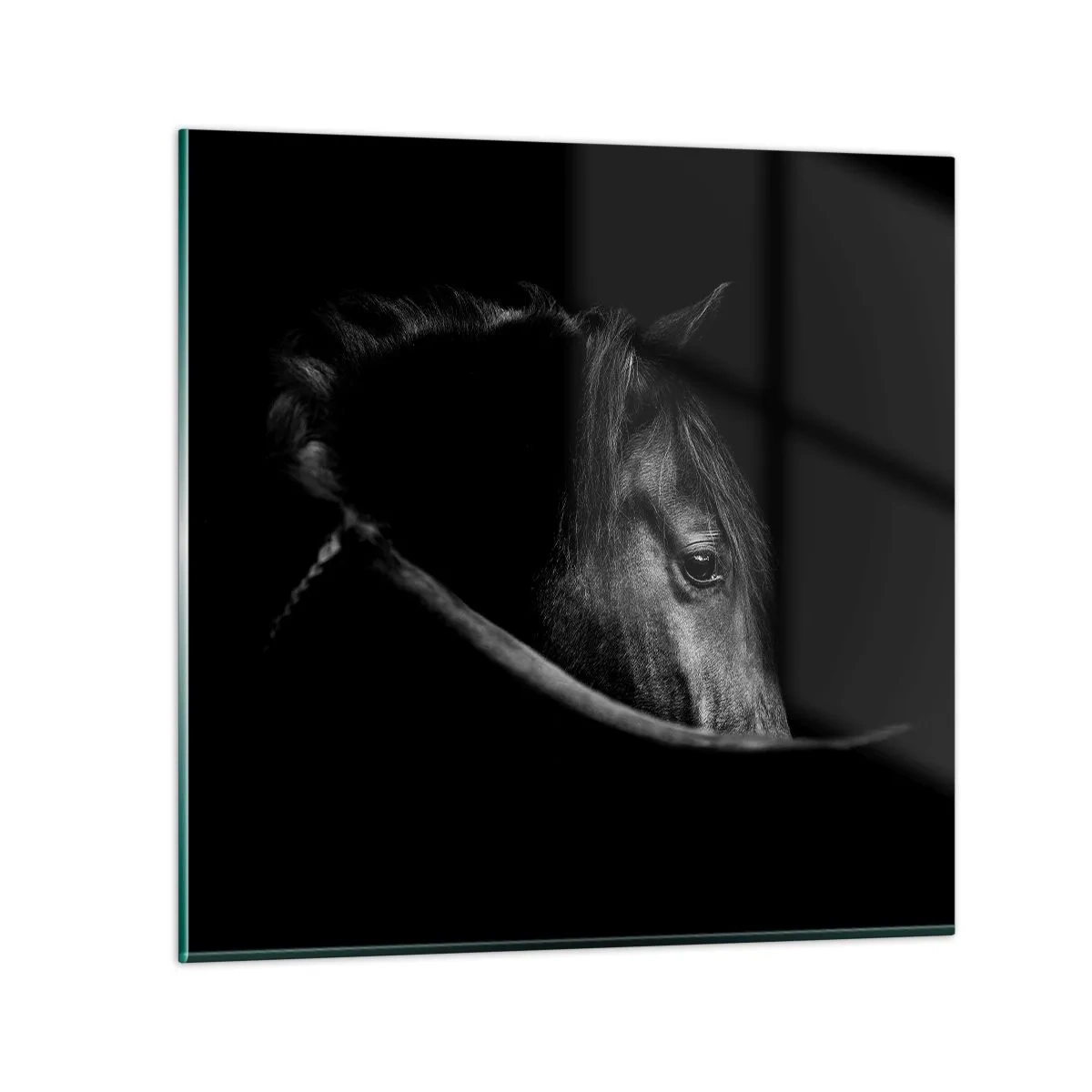 Glass picture - Black Prince - 70x70 cm