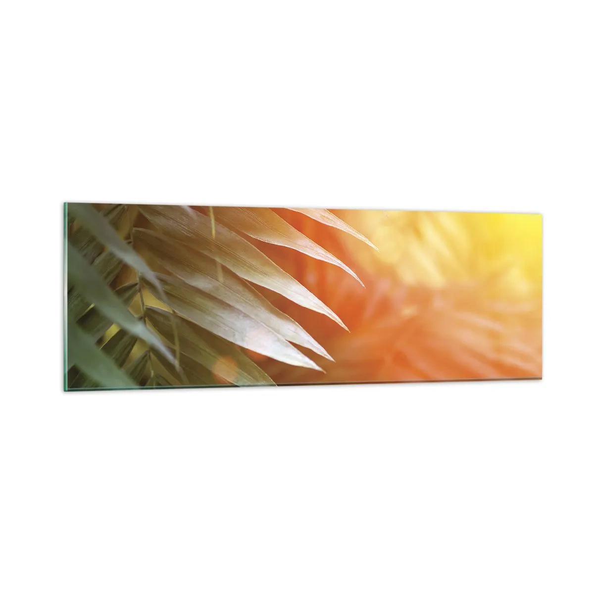 Glass picture - Morning in the Jungle - 90x30 cm