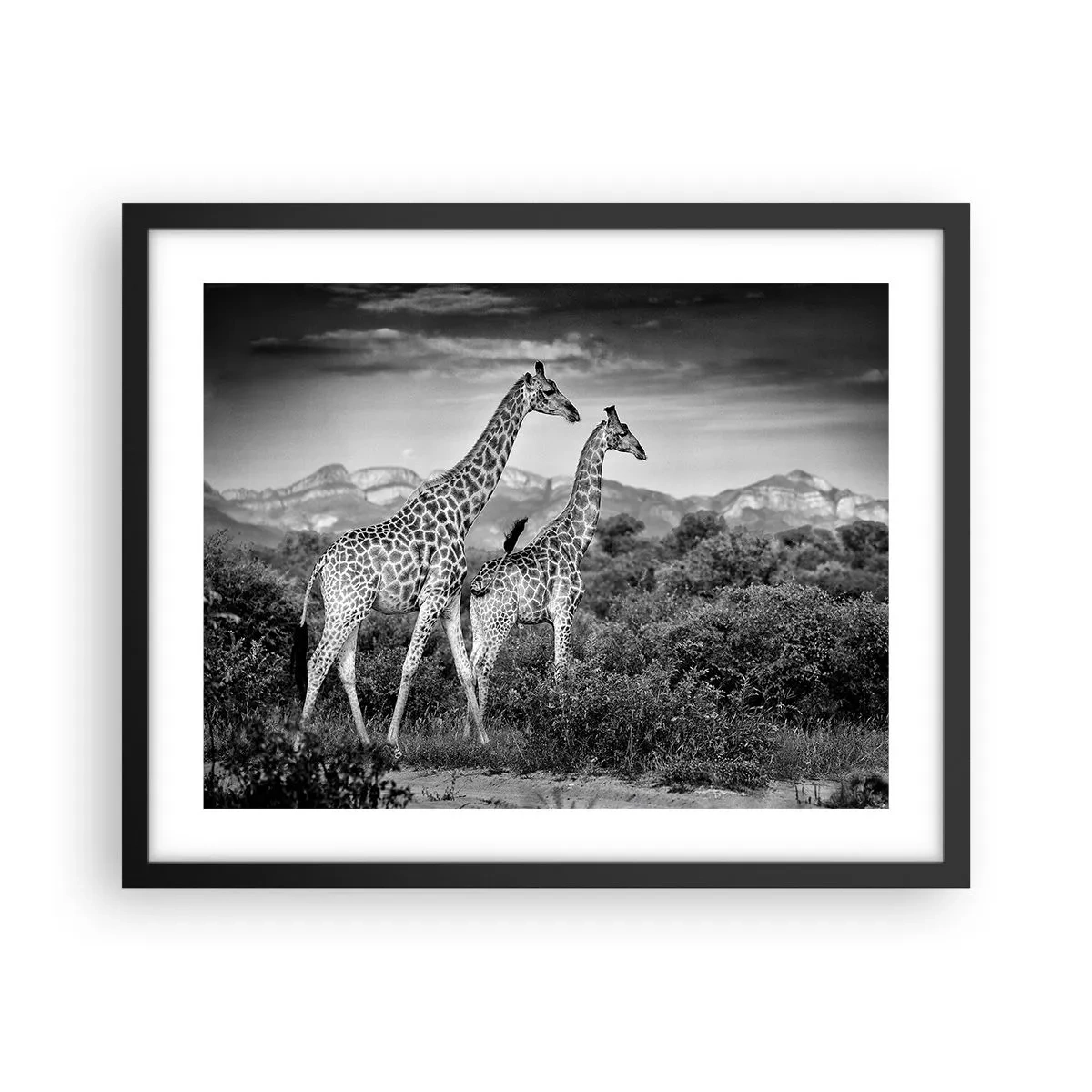 Poster in black frame - Higher Spheres in Africa - 50x40 cm