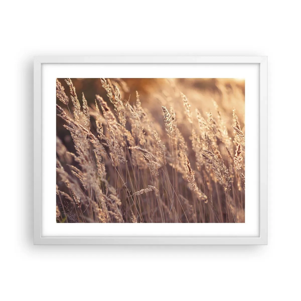 Poster in white frmae - Ready to Welcome Autumn - 50x40 cm
