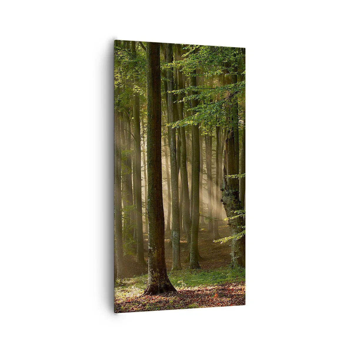 Canvas picture - Beaming in Spring Morning - 65x120 cm