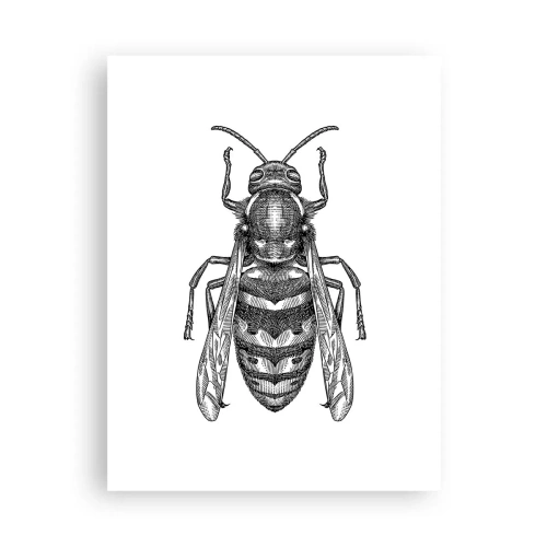 Poster - From Insect Planet - 30x40 cm