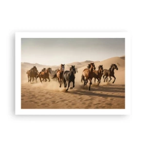 Poster - Free as a Wind - 70x50 cm