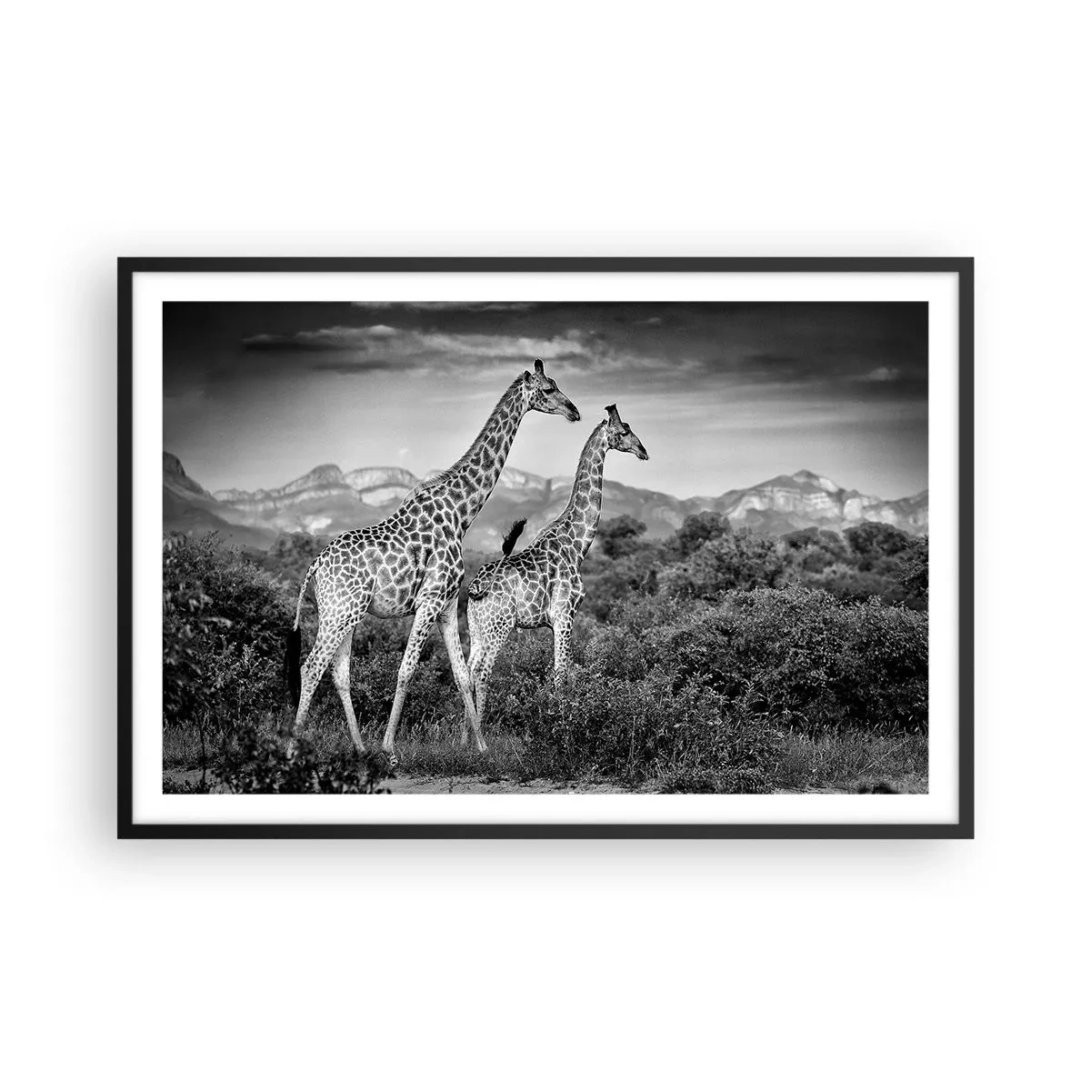 Poster in black frame - Higher Spheres in Africa - 91x61 cm