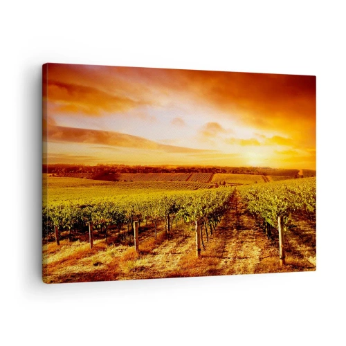Canvas picture - Vineyard at sunset with warm sky tones - 70x50cm - Delicatly Fruity with a Note of the Sun - Modern wall decoration for the living room and bedroom ARTTOR