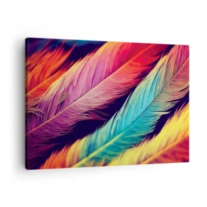 Canvas picture - Colorful feathers in intense colors - 70x50cm - Feathered Rainbow - Modern wall decoration for the living room and bedroom ARTTOR