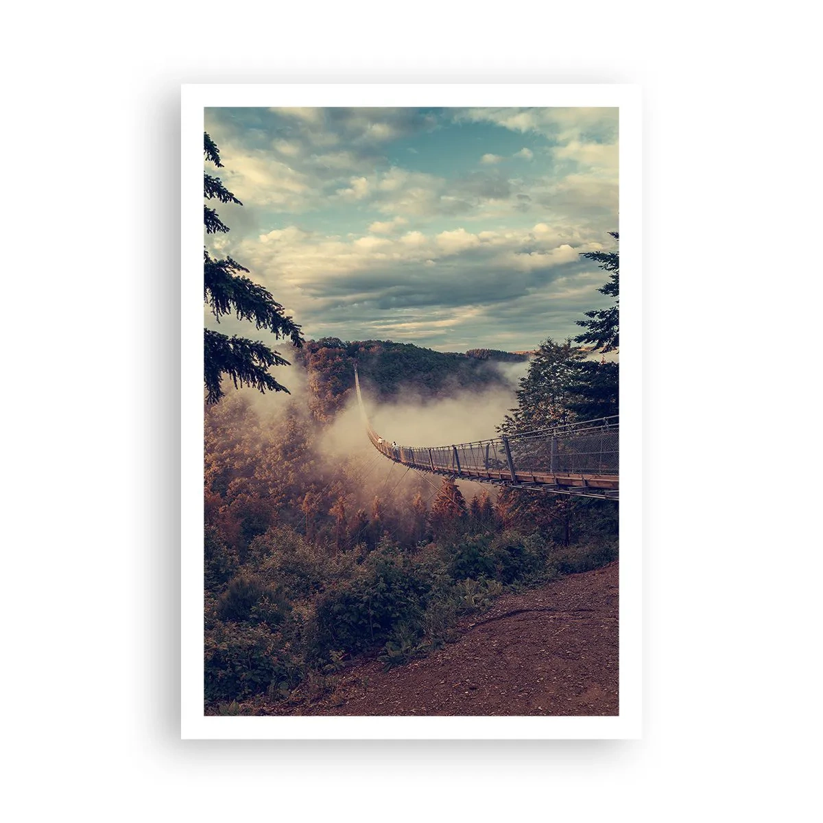 Poster - Above Autumnal Forest - 70x100 cm