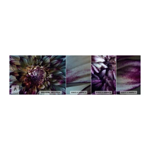 Photo Wallpaper Sample Standard Eco - The Blossoming of Youth - Flowers, Dahlia, Blooming Flower - 100x30 cm
