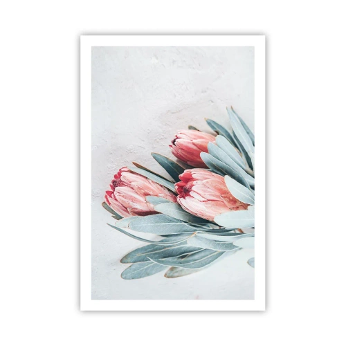 Poster - Ashamed of Their Own Beauty - 61x91 cm