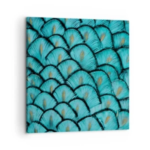 Canvas picture - Great Feather Gala - 50x50 cm