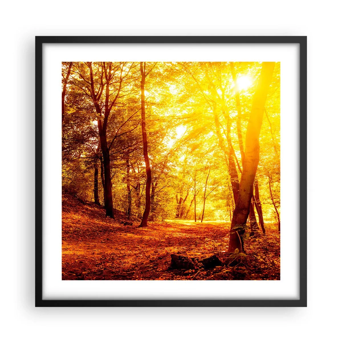 Poster in black frame - Towards Golden Plain - 50x50 cm