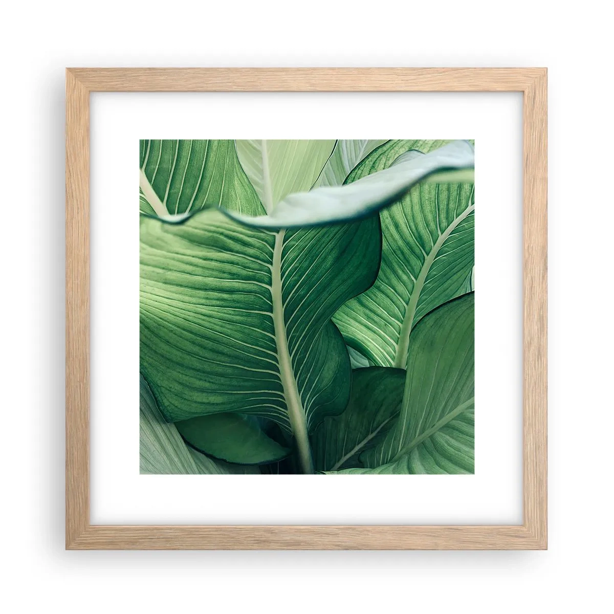 Poster in light oak frame - Life in Intense Green Colour - 30x30 cm