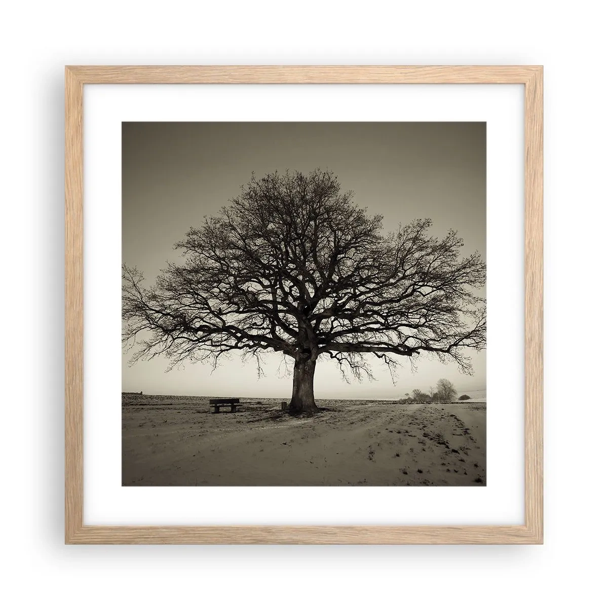 Poster in light oak frame - From Here to Eternity - 40x40 cm