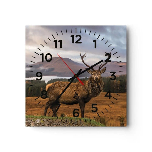 Wall clock - Clock on glass - Majesty of Nature - 40x40 cm