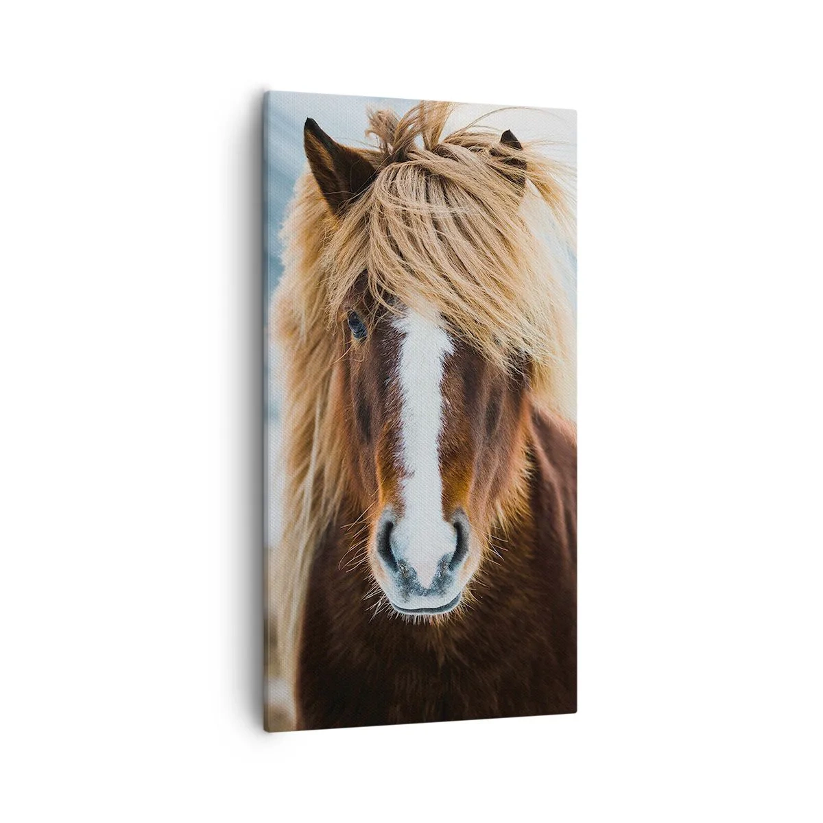 Canvas picture - Can You Feel the Freedom? - 55x100 cm