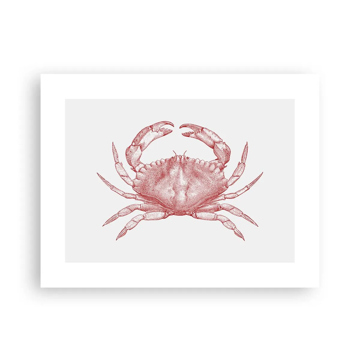 Poster - Crab Like No Other - 40x30 cm
