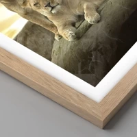 Light Oak