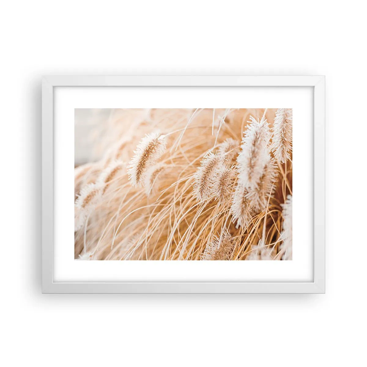 Poster in white frmae - Golden Rustling of Grass - 40x30 cm