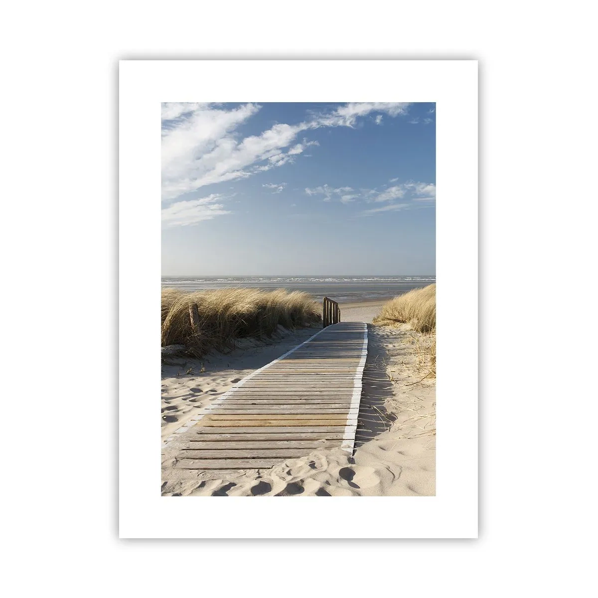 Poster - Behind a Dune, in the Hum of Trees - 30x40 cm
