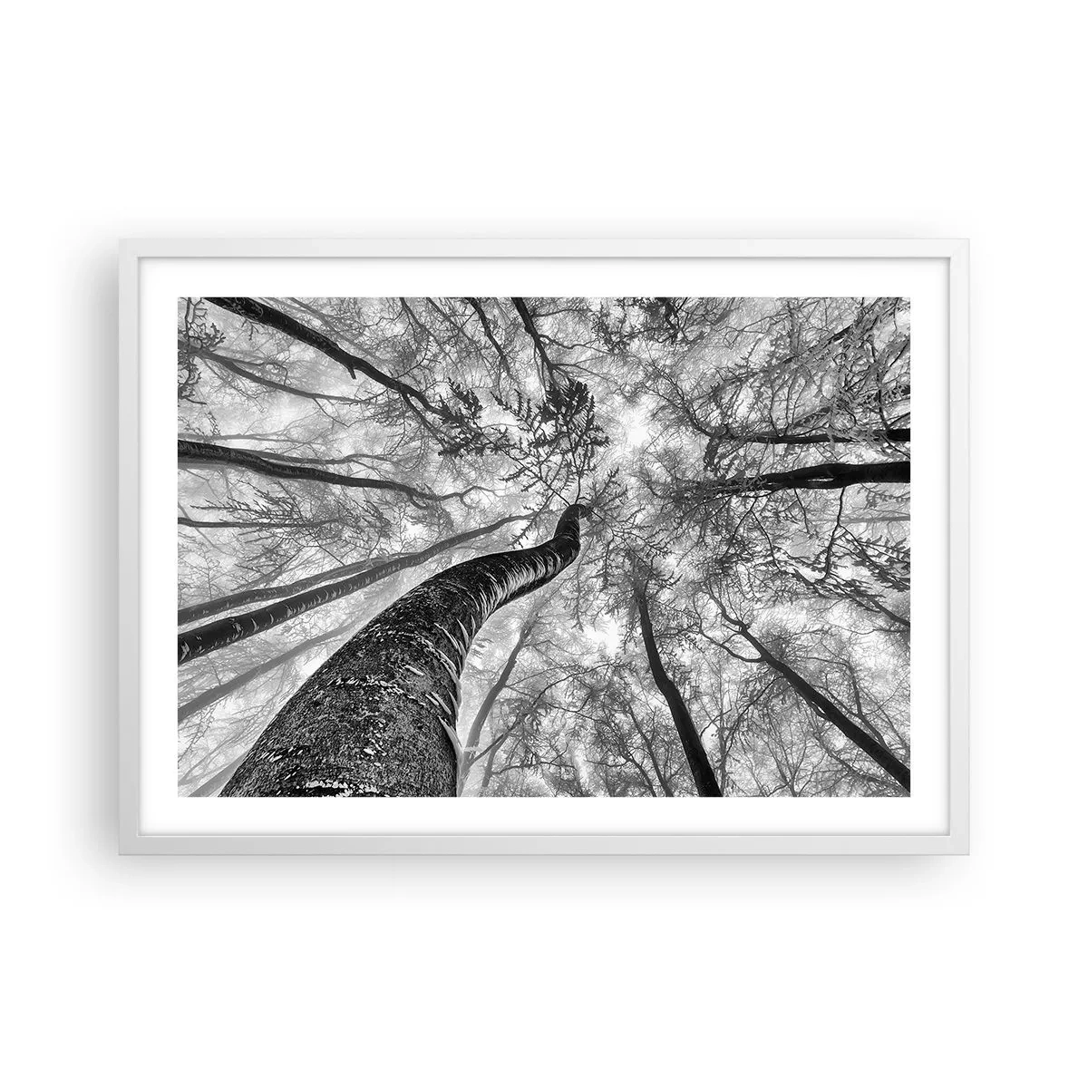 Poster in white frmae - Race for the Light - 70x50 cm