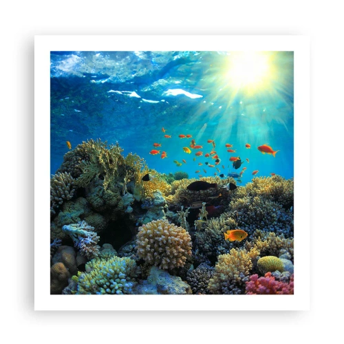 Poster - Underwater Treasures - 60x60 cm