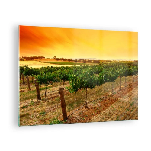 Glass picture - Grapevines in the warm light of the setting sun - 70x50cm - Drink up the Sun - Modern wall decoration for the living room and bedroom ARTTOR