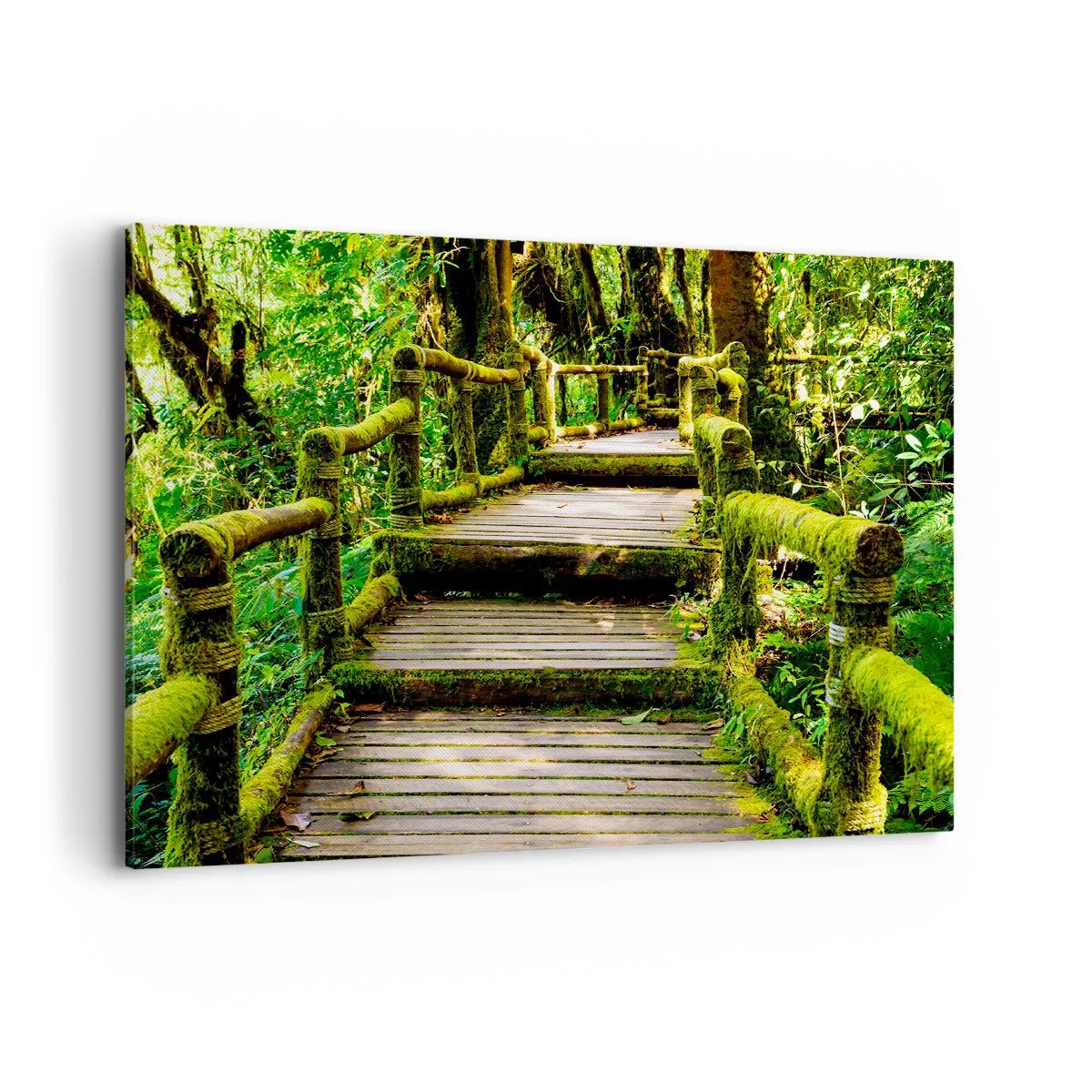 Canvas picture - Down the Green Path - 100x70 cm