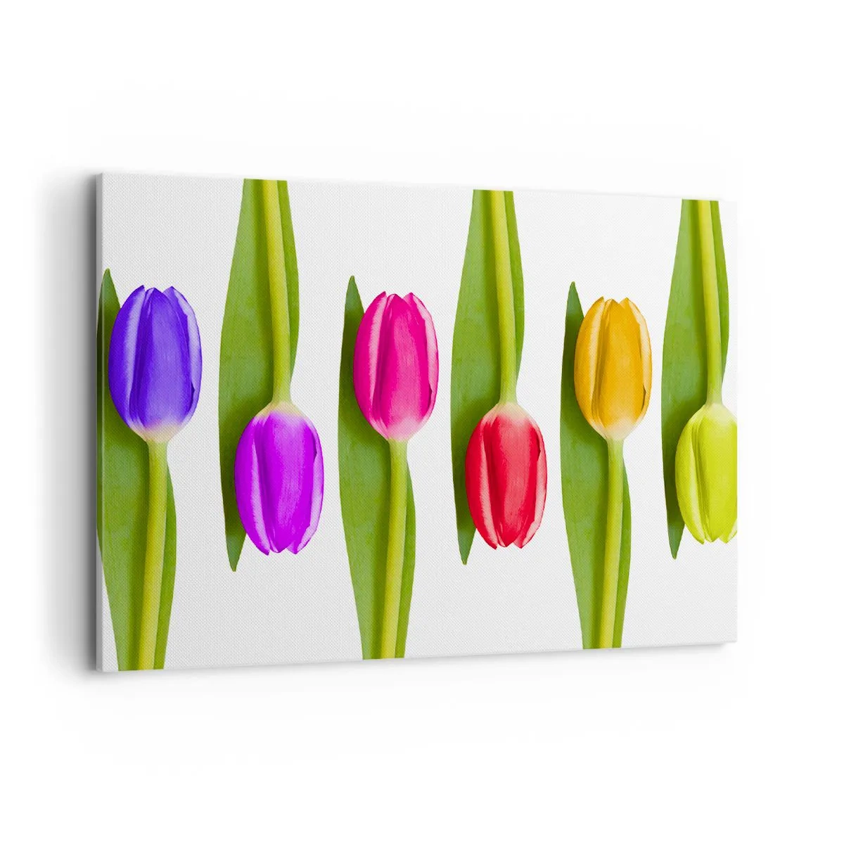 Canvas picture - Rainbow Composition - 100x70 cm