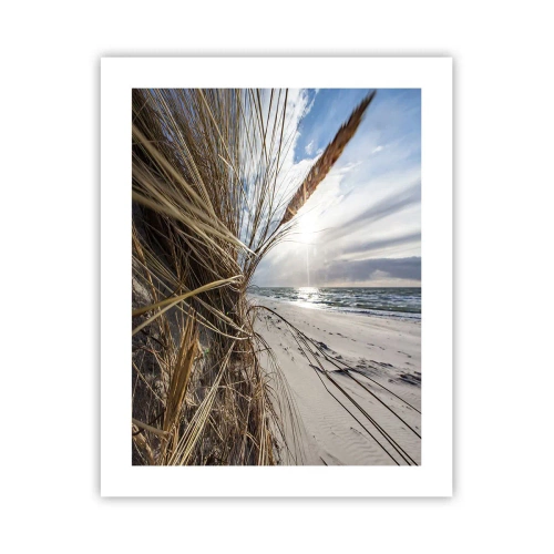 Poster - Enounter of the Elements - 40x50 cm