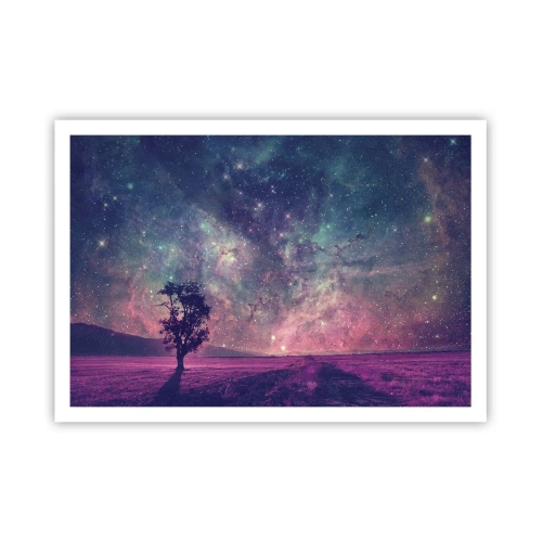 Poster - Under Magical Sky - 100x70 cm