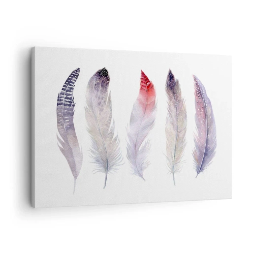 Canvas picture - Five delicate feathers in pastel shades on a light background - 70x50cm - Delicate Like Pink Fog - Modern wall decoration for the living room and bedroom ARTTOR