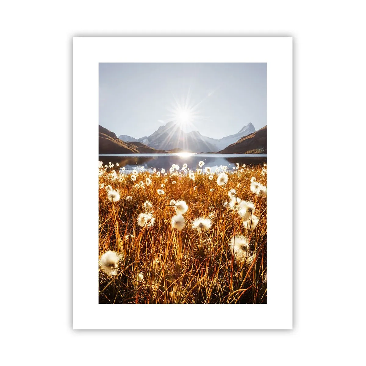 Poster - Toughness of Rocks, Softness of Grass - 30x40 cm