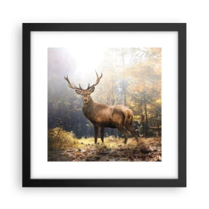 Poster in black frame - In Full Majesty - 30x30 cm
