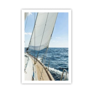 Poster - Ahoy, Adventure - 61x91 cm