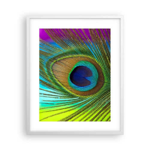 Poster in white frmae - Eye to Eye - 40x50 cm