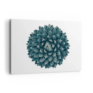 Canvas picture - Star of the Desert - 100x70 cm