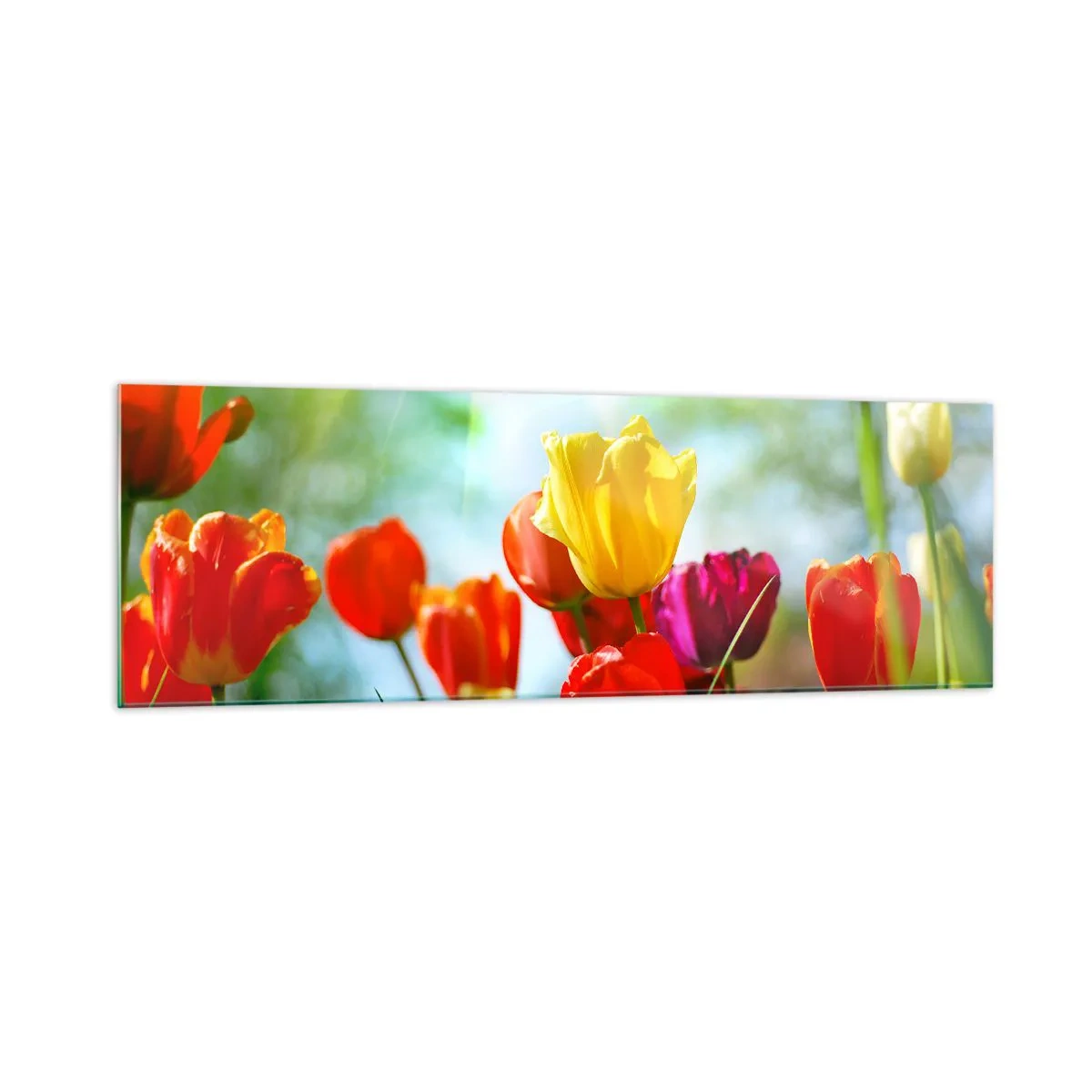 Glass picture - All Colours of the Sun - 160x50 cm