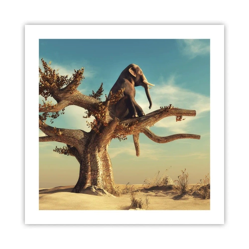 Poster - New Point of View - 50x50 cm