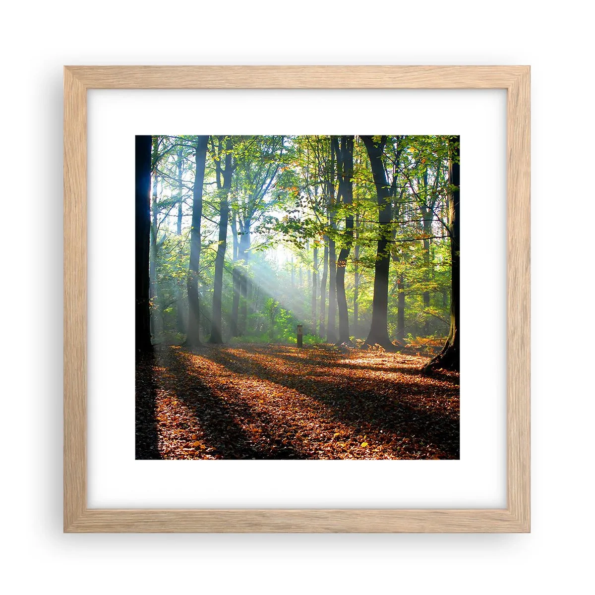Poster in light oak frame - Highs And Lows - 30x30 cm