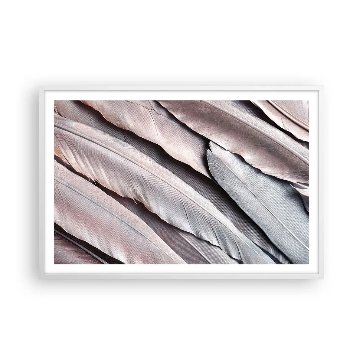 Poster in white frmae - In Pink Silverness - 91x61 cm