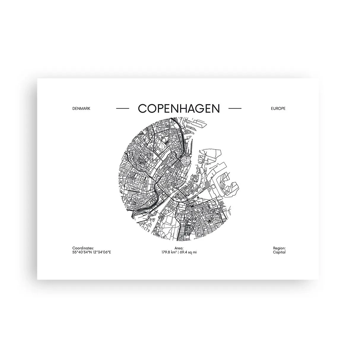 Poster - Anatomy of Copenhagen - 70x50 cm