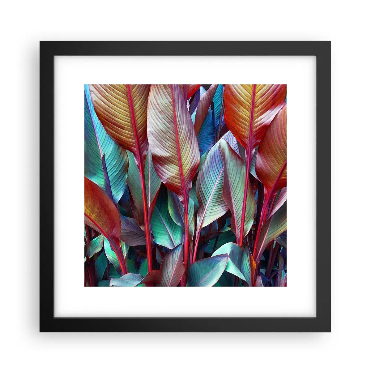 Poster in black frame - Colourful Thicket - 30x30 cm