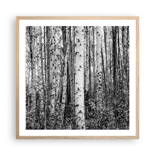 Poster in light oak frame - Birch Colonnade - 60x60 cm